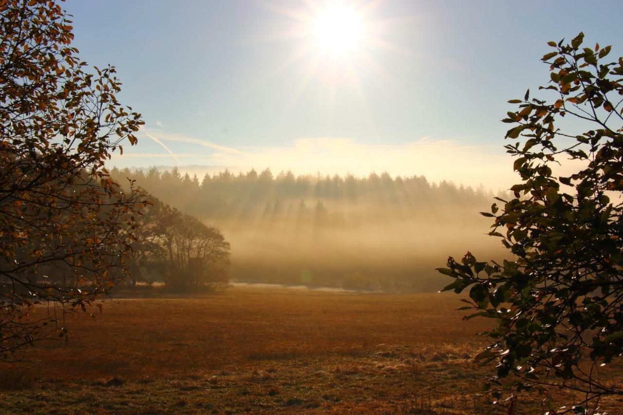 Haus Kolmesfeld Appartamento Sensweiler Esterno foto